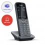 Радиотелефон(трубка) DECT Gigaset S700H PRO (S30852-H2974-R102)